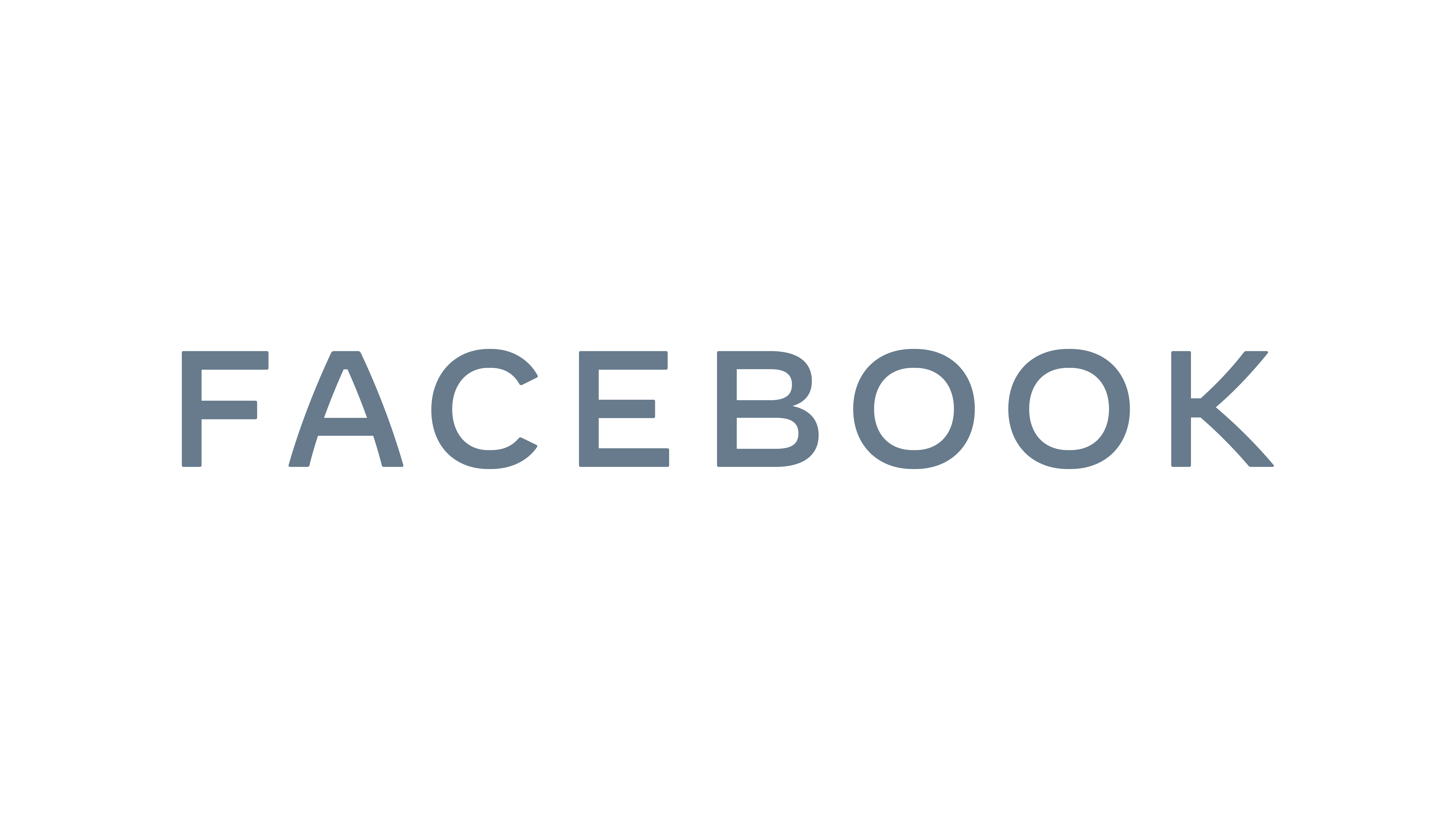 Facebook Wordmark Gray